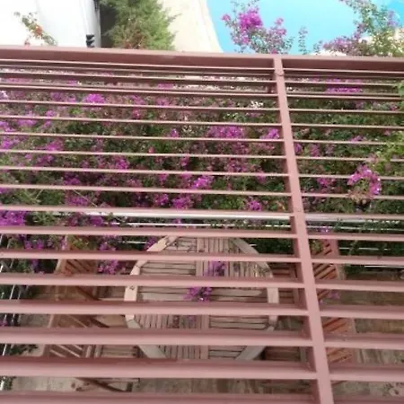 Milport Bodrum Bitez