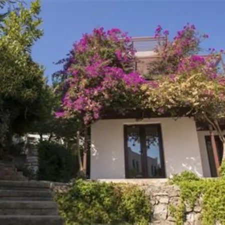 Milport Bodrum Bitez