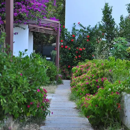Milport Bodrum ביטז