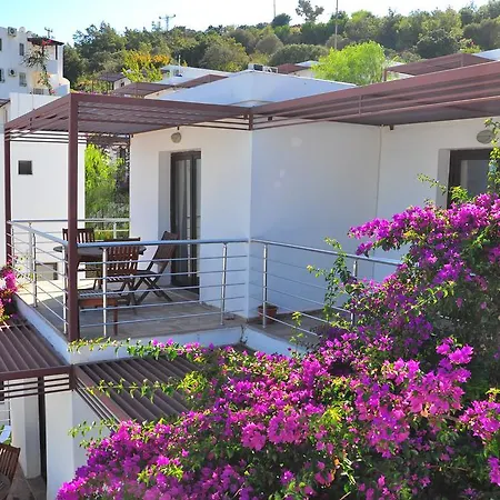 Milport Bodrum ביטז