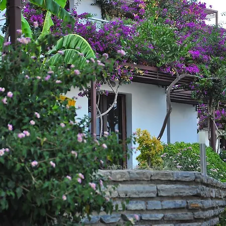 Milport Bodrum ביטז