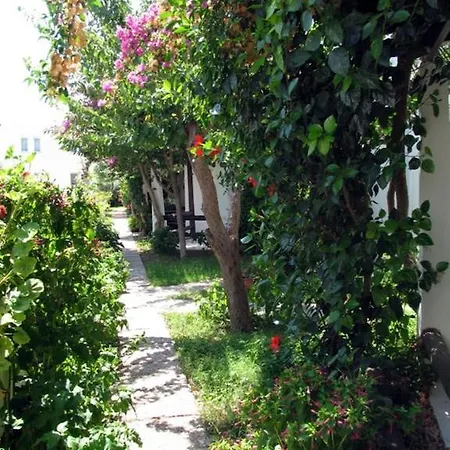 Milport Bodrum ביטז