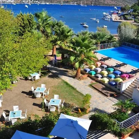Milport Bodrum ביטז
