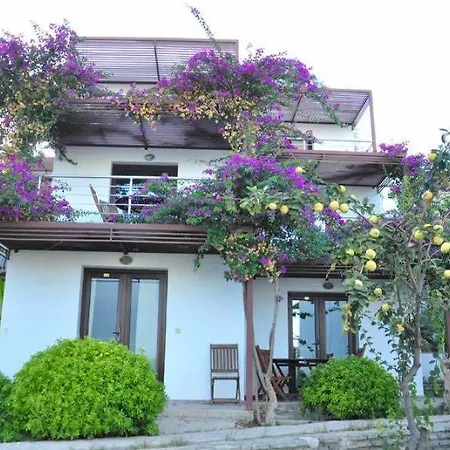 מלון Milport Bodrum ביטז