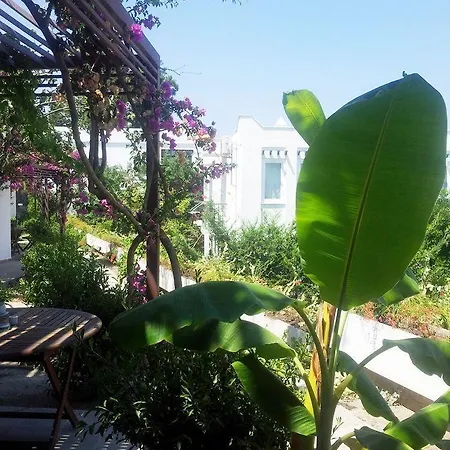 מלון Milport Bodrum