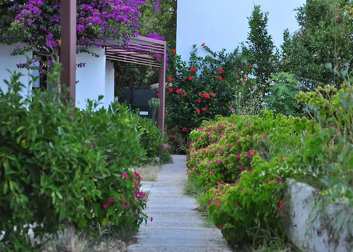Milport Bodrum ביטז