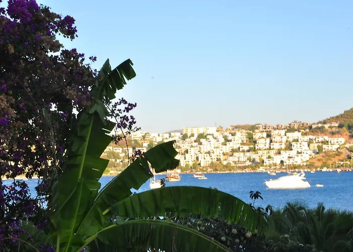 Milport Bodrum 3*