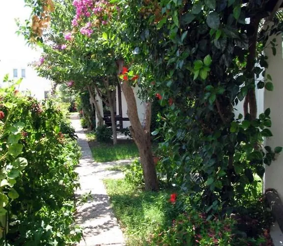 Milport Bodrum ביטז