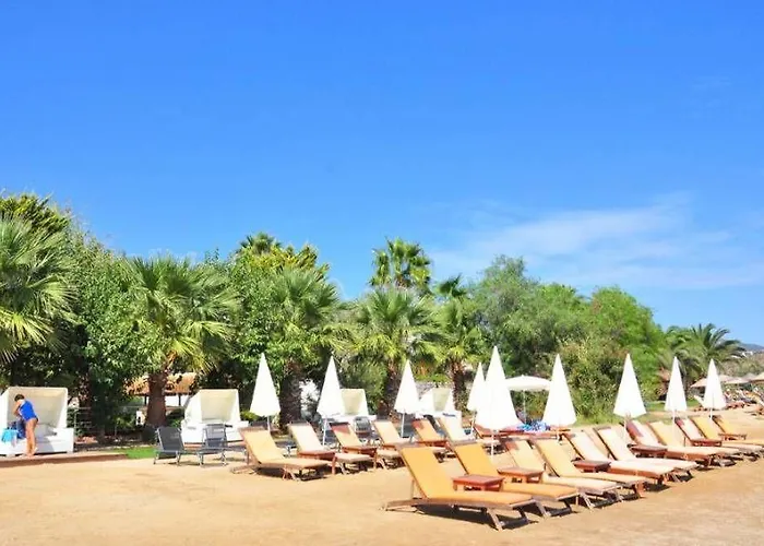 Milport Bodrum