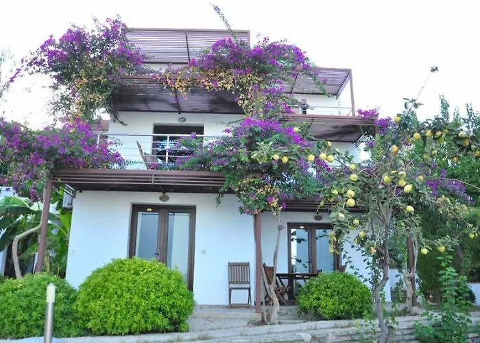 מלון Milport Bodrum ביטז