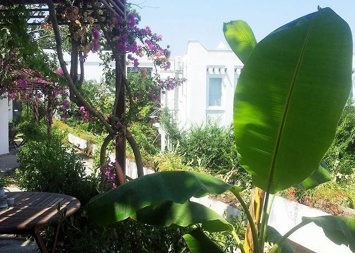 מלון Milport Bodrum