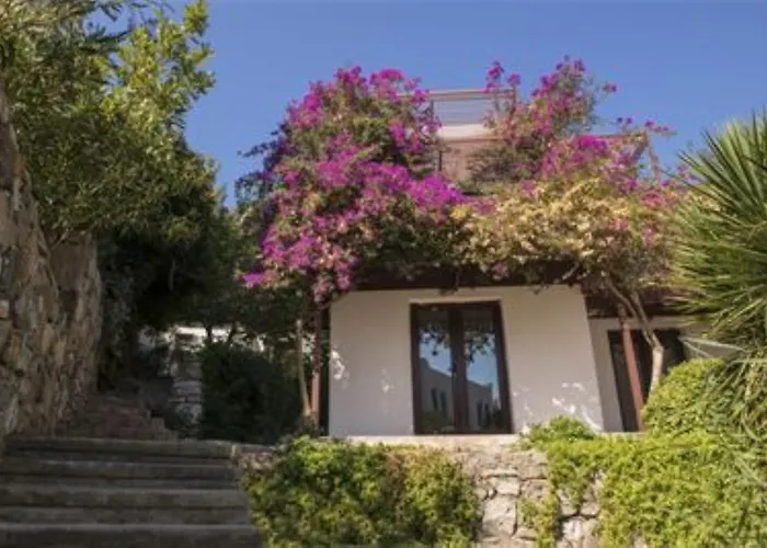 Milport Bodrum ביטז