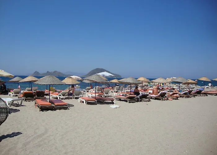 Milport Bodrum ביטז